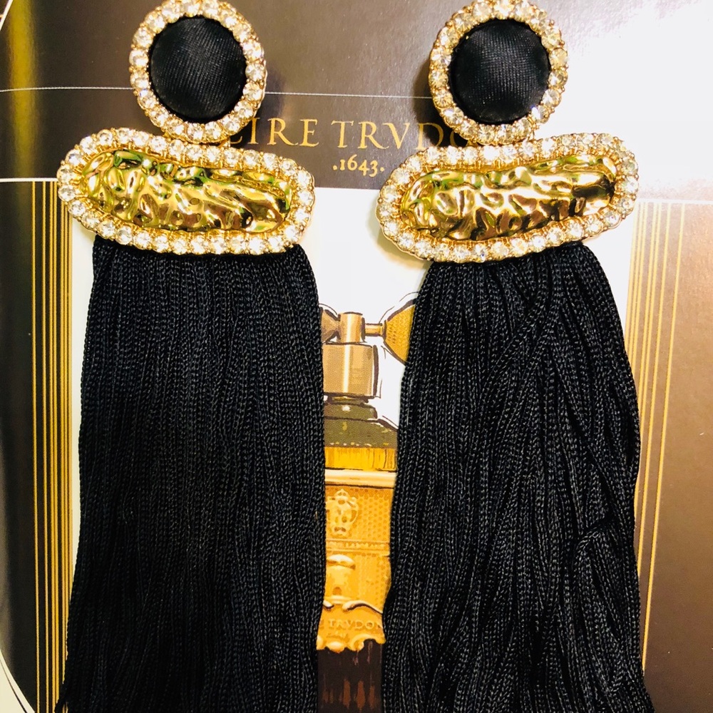 Gorgeous Zara Earrings ⭐️⭐️⭐️⭐️